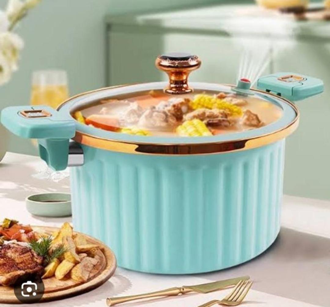 Micro pressure cooker