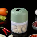 Rechargeable Electric Garlic Masher Garlic Grinder Masher 250ML Onion Chop Vanilla Vegetable Chili Grinder Portable Kitchen Blender