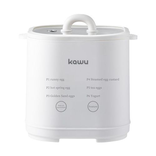 Kawu Electric 4 Egg Cooker, Egg Boiler with Egg Stand, with Clear Lid