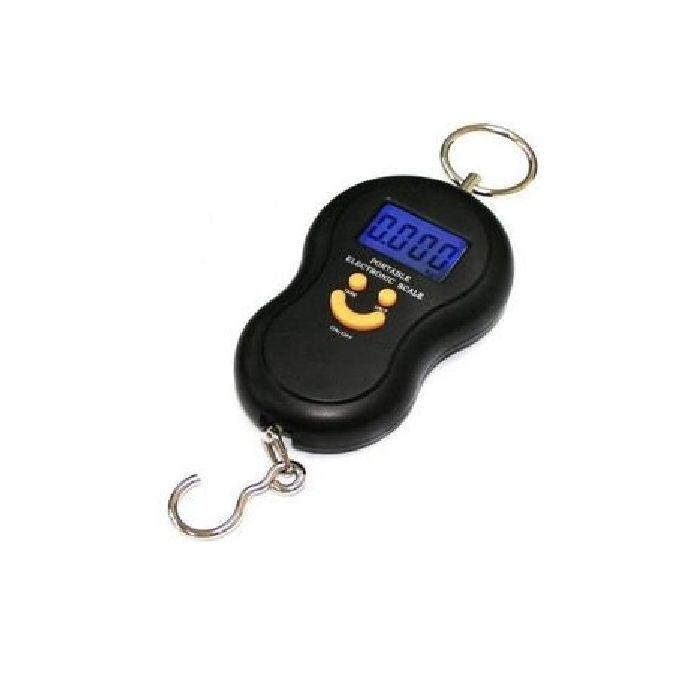 Electronic Scale Digital Portable Hook 50Kg Weighing Scale