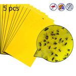 5 PCS Double-sided Stick Insect Board Yellow Board Melon Fruit Fly Trap Board