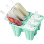 Homemade Popsicle Mould With Silicone Funnel And Cleaning Brush