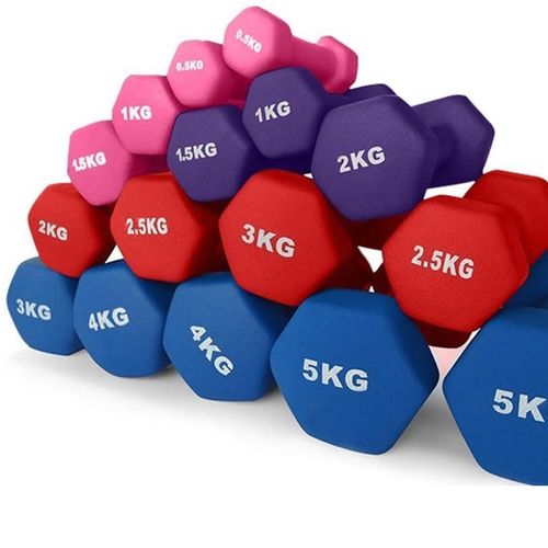 Vinyl Dumbbell Weight Set Solid Cast Iron Dumbbell