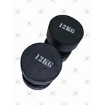 12 KGS DUMBBELL SET