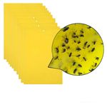 5 PCS Double-sided Stick Insect Board Yellow Board Melon Fruit Fly Trap Board
