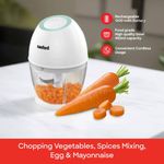 Sanford Food Chopper Rechargeable SF6814FP (2YR WRTY)