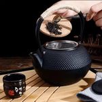 *Cast Iron Set Teapot Japanese Tea Tetsubin Pot Kettle Enamel Fu Kung Infusers Metal With Strainer Net Filter