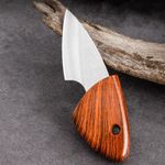 Mini Fruit Knife Outdoor Dismantling Express Portable Little Fat Dolphin Knife Camping Express Knife High Hardness Sharp