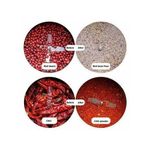 Electric Coffee Mill Grinder And Herbs Posho Mill