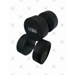 12 KGS DUMBBELL SET
