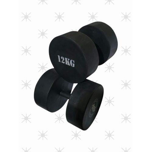 12 KGS DUMBBELL SET