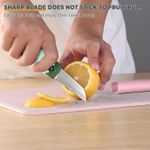 2 in 1 Paring Peeler Knife Multifunctional Stainless Steel Peeler,Creative Fruit and Vegetable Dual-Use Peeler Knife, Outdoor Portable Safety Cover Peeling Fruit Peeler, Kitchen gadgets (White Green)