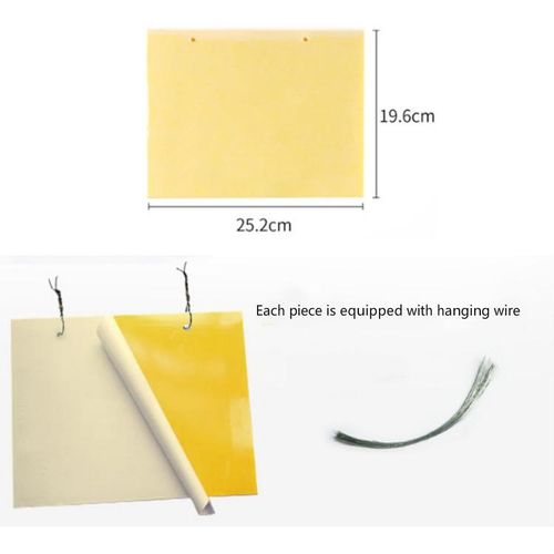 5 PCS Double-sided Stick Insect Board Yellow Board Melon Fruit Fly Trap Board