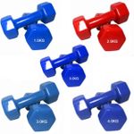 Vinyl Dumbbell Weight Set Solid Cast Iron Dumbbell