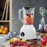 AILYONS Blender 2 In 1 With Grinder Machine -WHITE,
