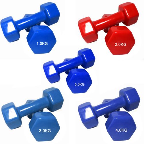 Vinyl Dumbbell Weight Set Solid Cast Iron Dumbbell