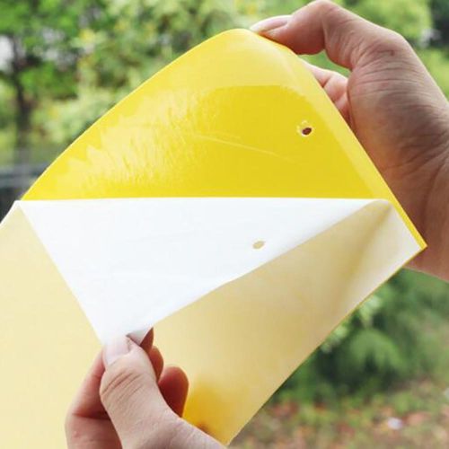 5 PCS Double-sided Stick Insect Board Yellow Board Melon Fruit Fly Trap Board