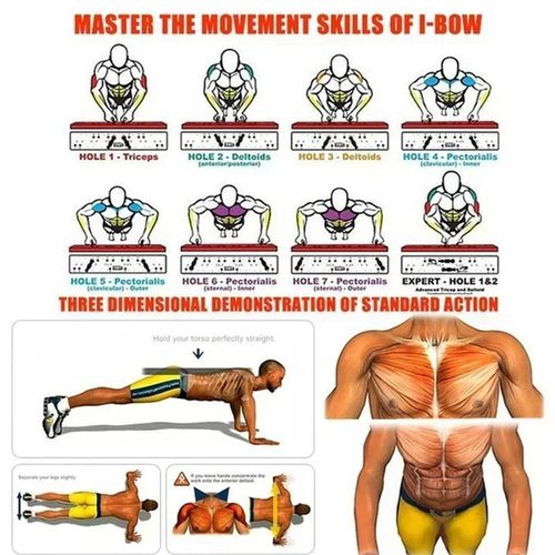 VIC Portable Multifunctional PuSh-up Board Set With Handles Foldable Fitness Equipment