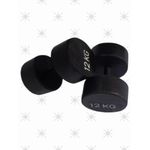 12 KGS DUMBBELL SET