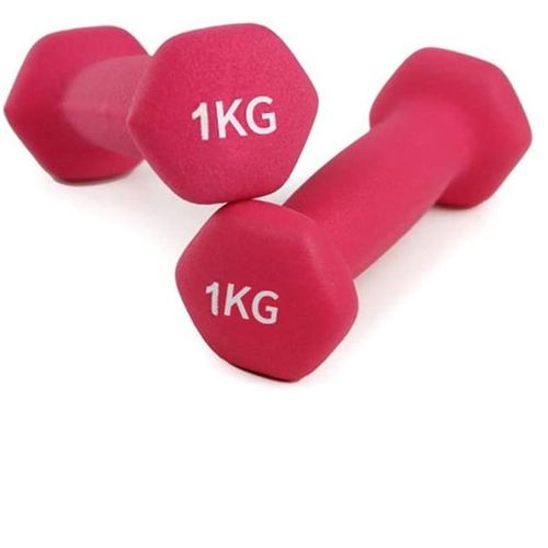 Vinyl Dumbbell Weight Set Solid Cast Iron Dumbbell