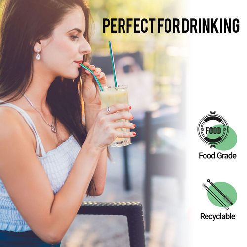 Inkbird Reusable Stainless Steel Drinking Straws Straight &amp; Curved Straws