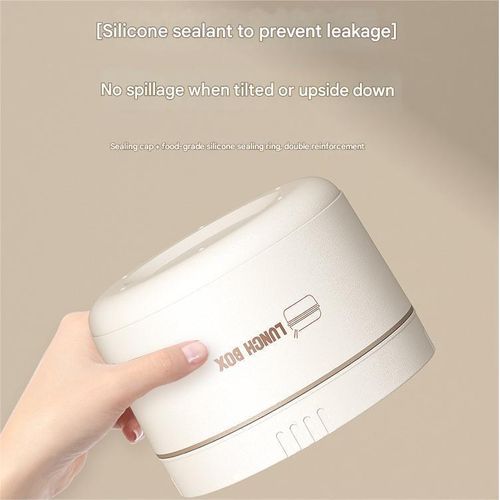 Double-layered stainless steel bento box, portable insulated lunch box with insulated bag