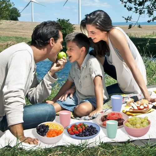 Nordic 4-color 28-piece set wheat straw plate bowl cup k-n-ife fork spoon chopsticks outdoor bowl and dish tableware set