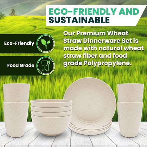 16PC Wheat Straw Bowls, Plates And Dishware Set - Beige