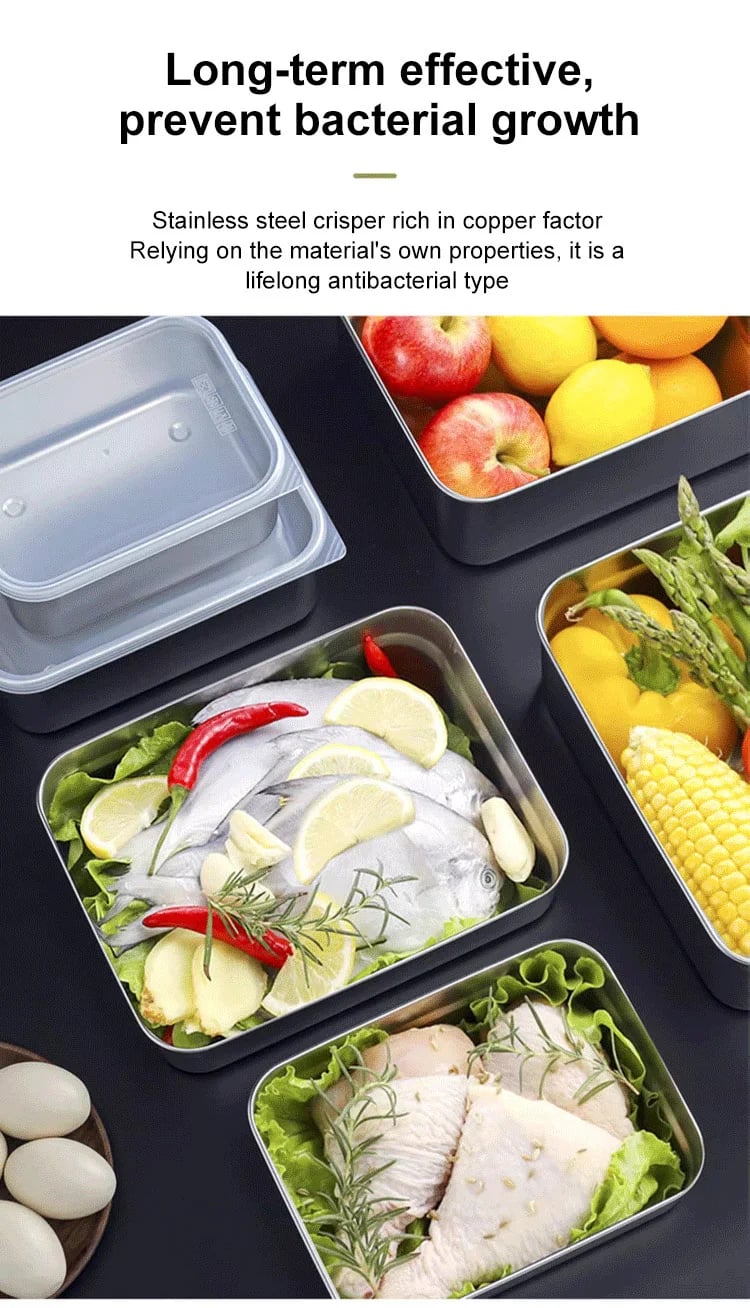 Gen 6 Pcs Stainless Steel Square Plate With Lid