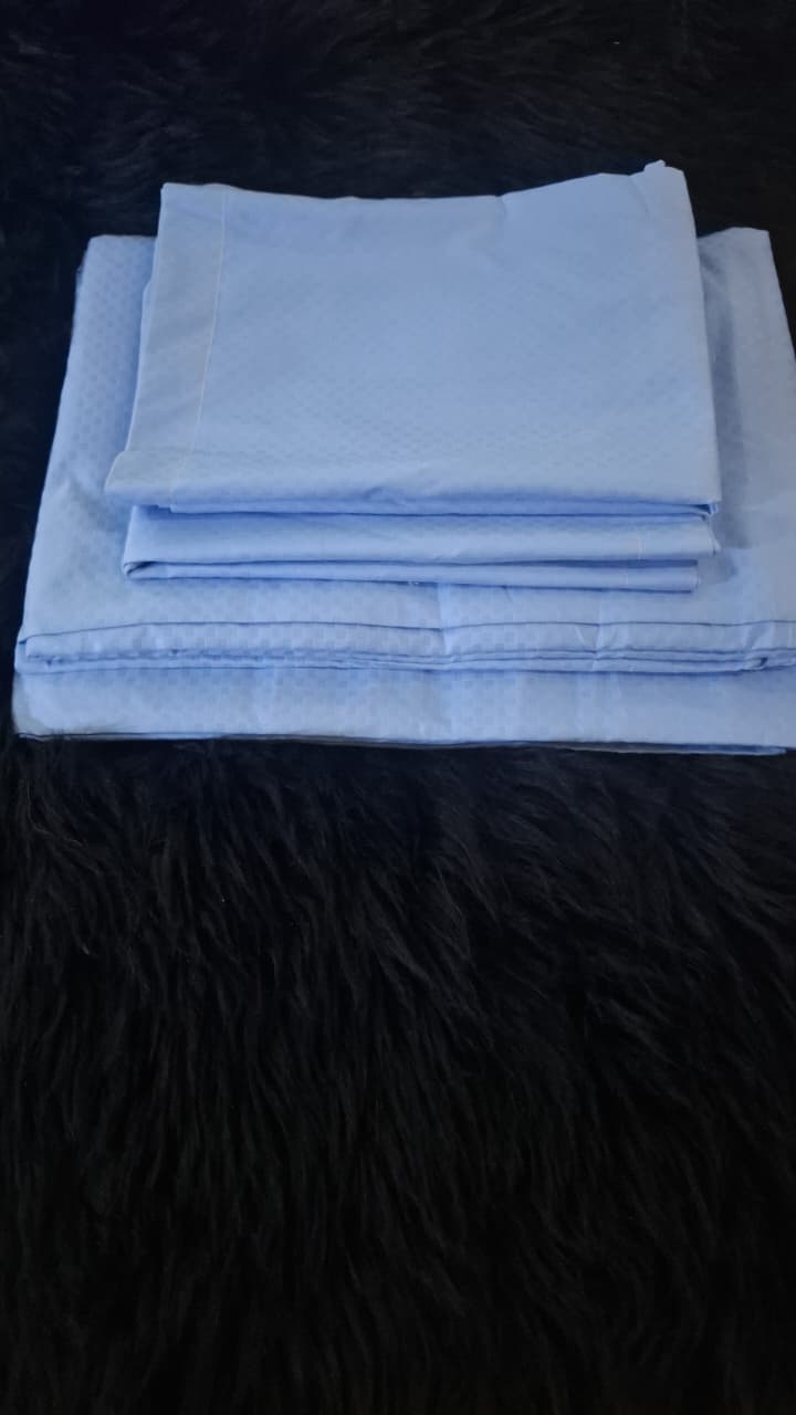 Stripped clp Bedsheet