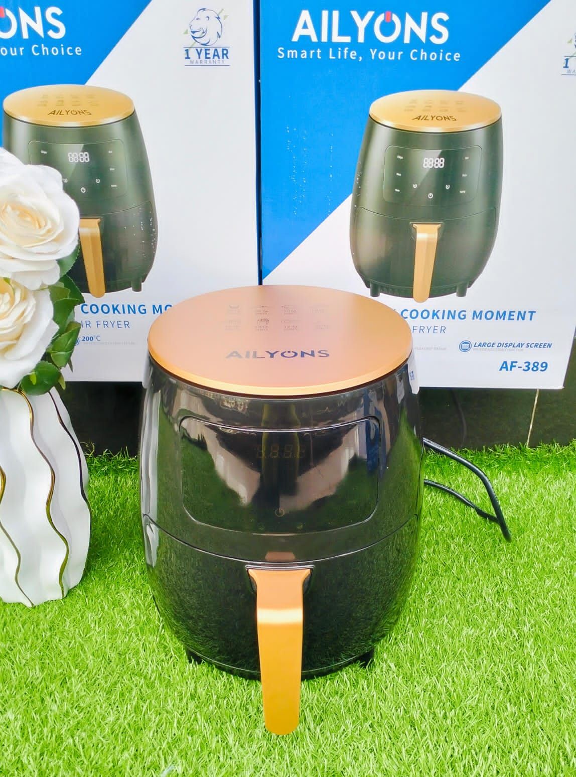 Alyons air fryer